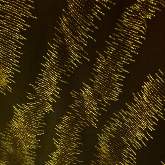 J Kara Black with Gold embellishment in gold Top - Picture 3 of 13